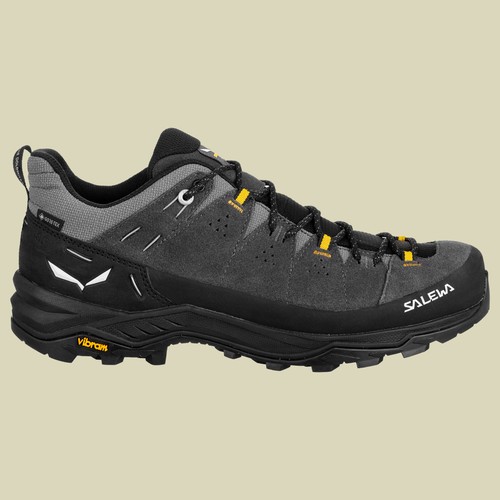 Salewa alp trainer - salewa, gtx