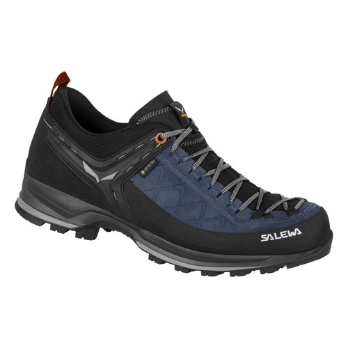 Salewa mtn trainer gtx - trainer,